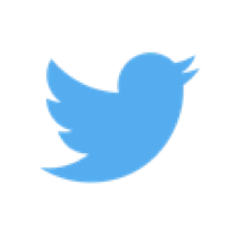 Blue bird silhouette facing right on a white background.